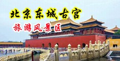 美女被男生操的网站中国北京-东城古宫旅游风景区